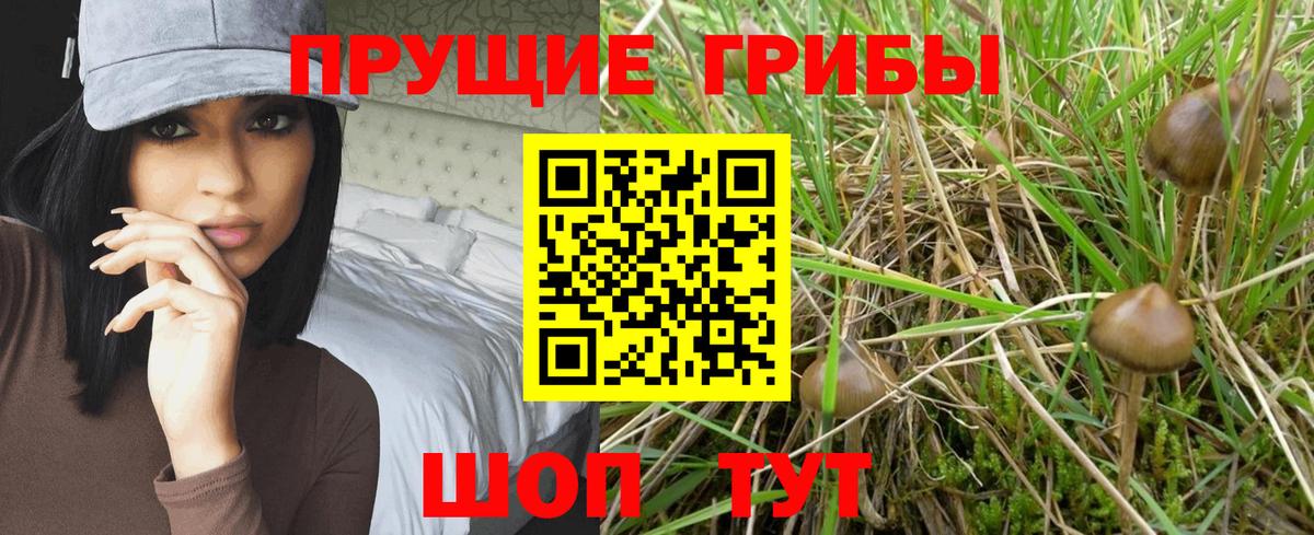 Галлюциногенные грибы прущие грибы Тулун