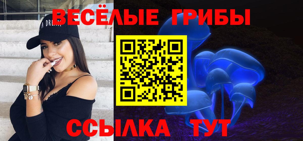 Тулун  Псилоцибиновые грибы мухоморы  Вход с VPN  купить  цена  Галлюциногенные грибы Psilocybine cubensis 